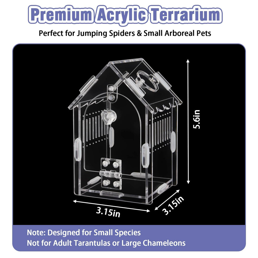 LEIZHENZI Jumping Spider Enclosure black option offers secure habitat in low light