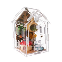 LEIZHENZI Jumping Spider Enclosure clear view shows crystal visibility for observing arboreal spiders