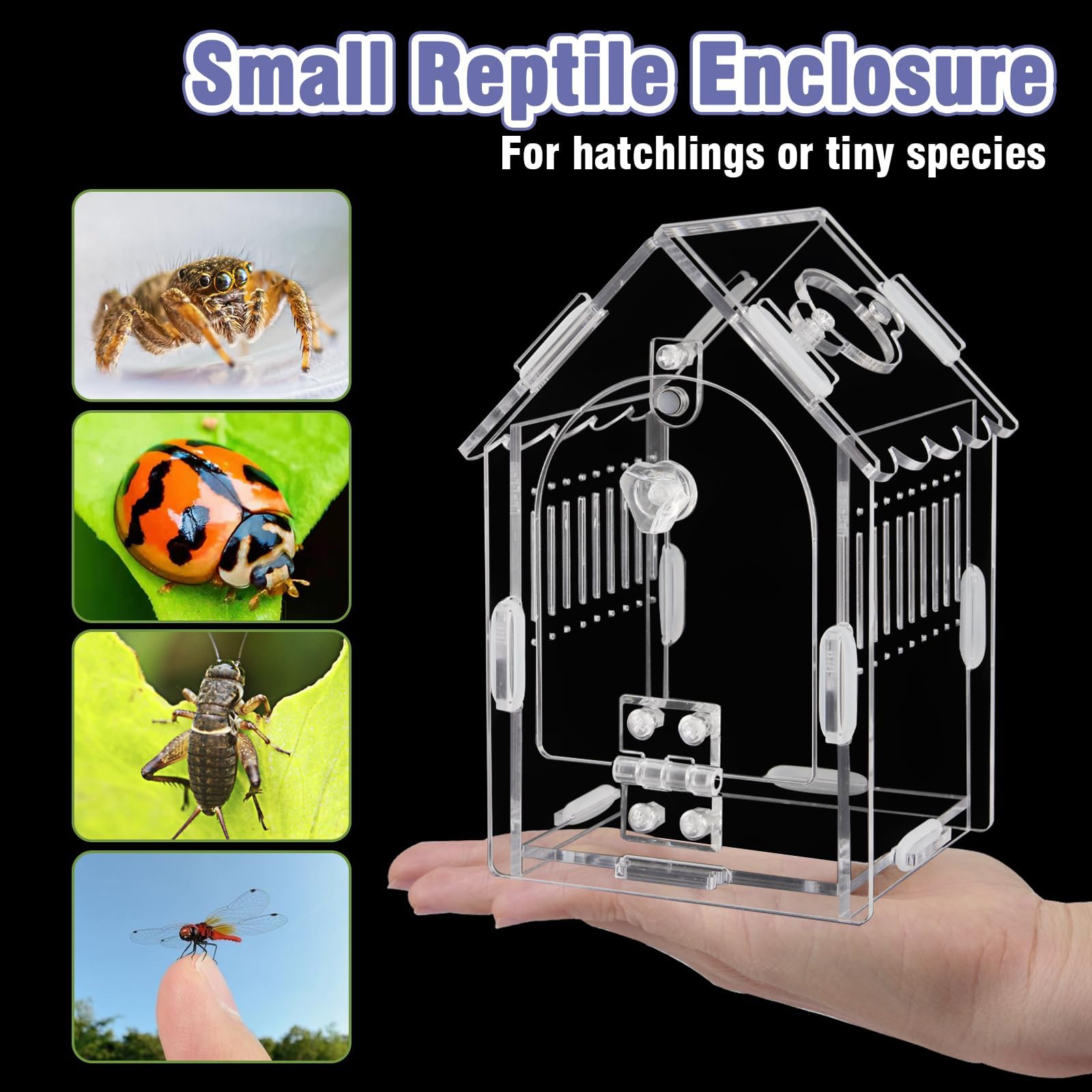 LEIZHENZI Jumping Spider Enclosure feeding port enables safe access without escapes