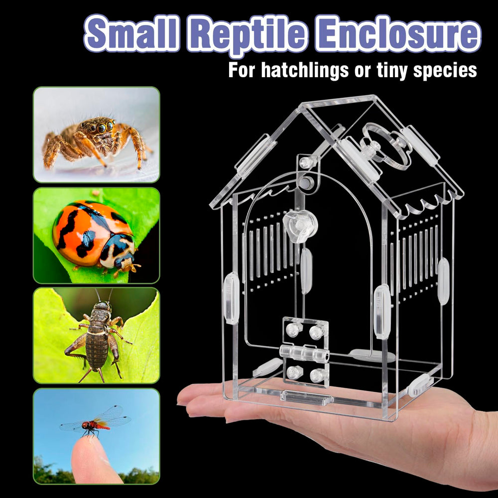 LEIZHENZI Jumping Spider Enclosure feeding port enables safe access without escapes