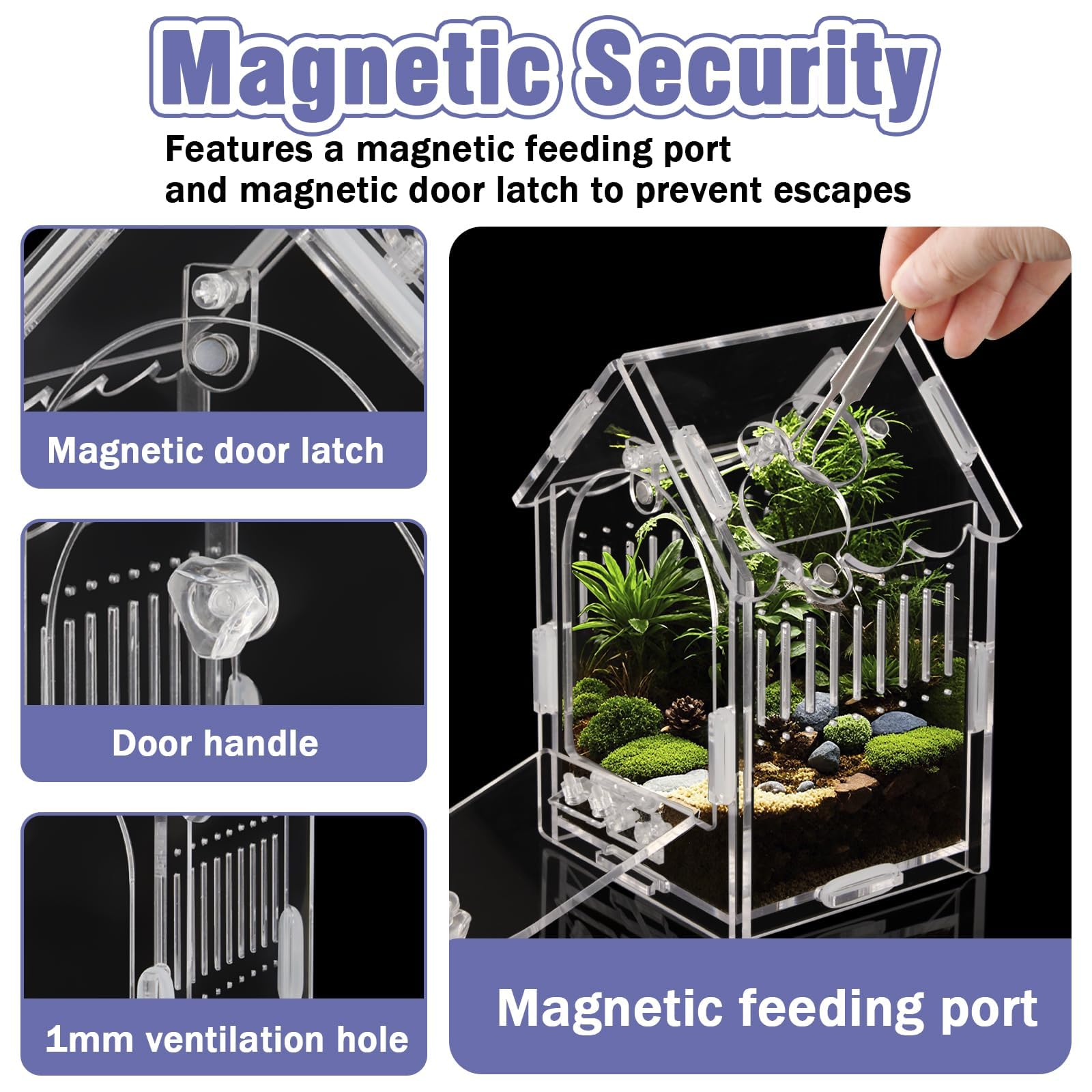 LEIZHENZI Jumping Spider Enclosure magnetic latch ensures secure closure during handling