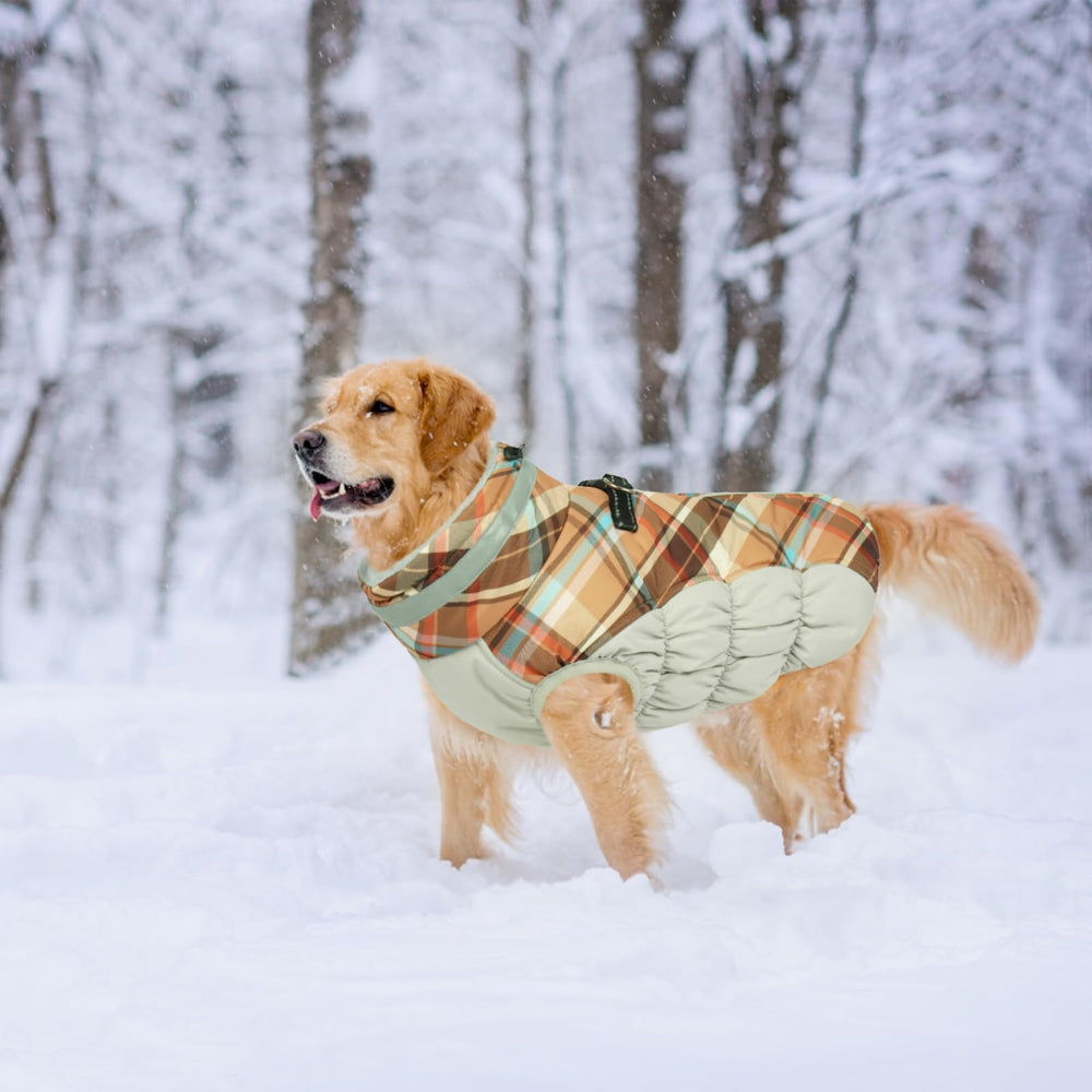 LeLePet 19-color selection offers styling options for breed and activity.