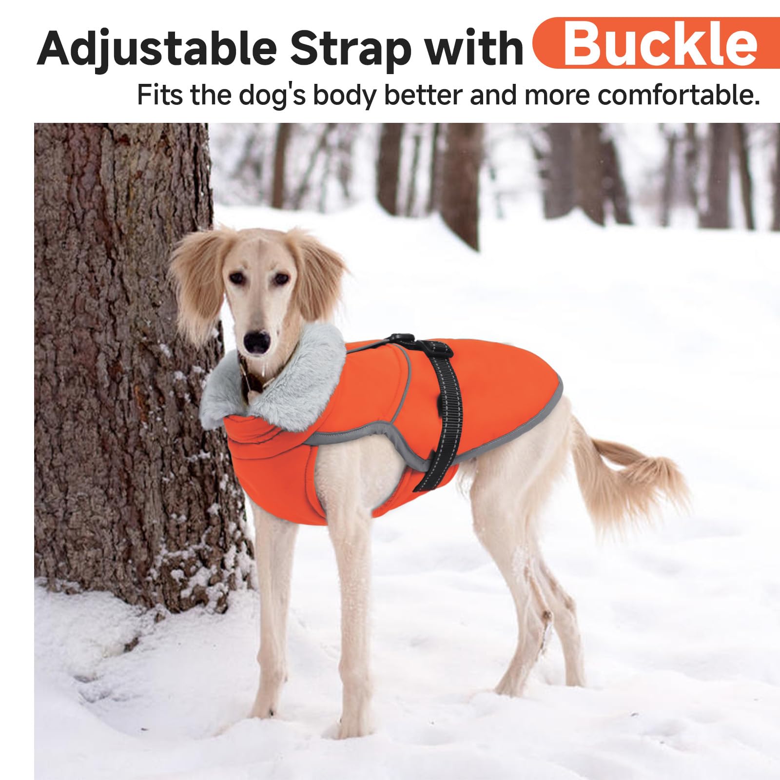LeLePet coat showcasing adjustable belly strap for secure fit.