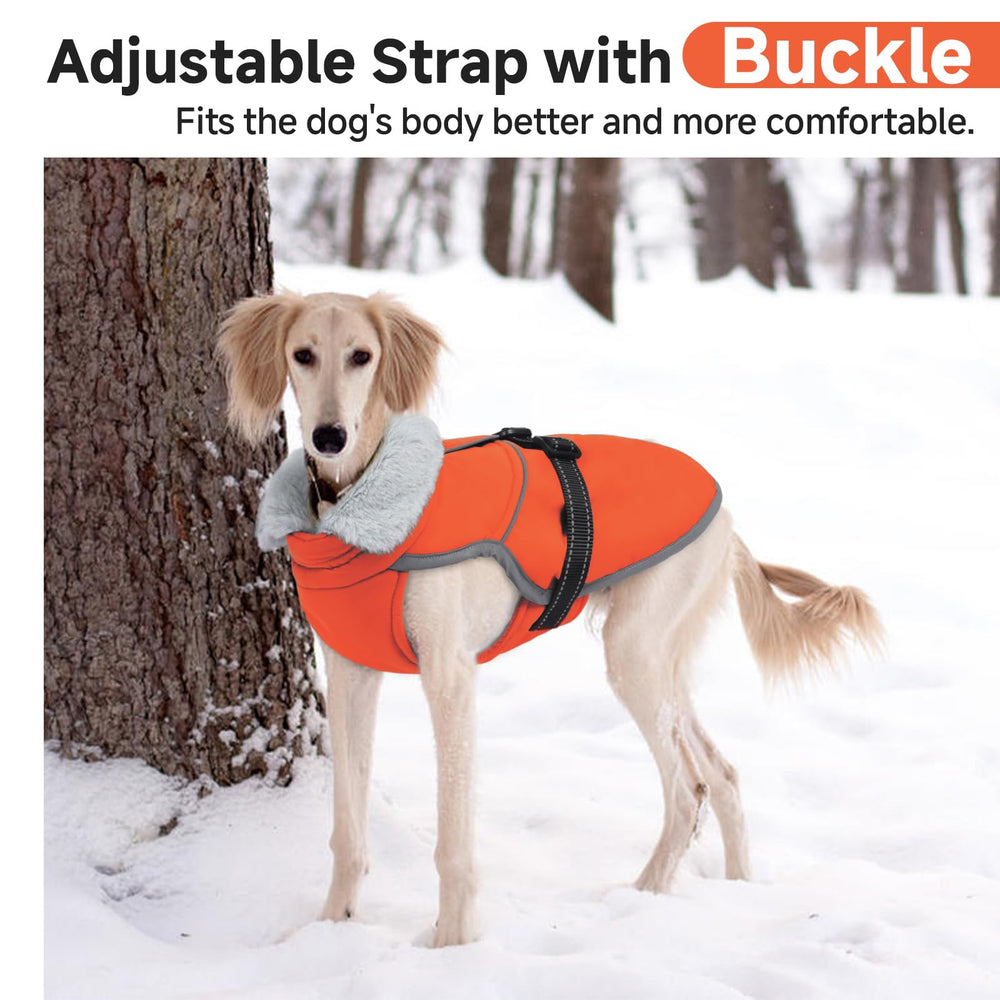 LeLePet coat showcasing adjustable belly strap for secure fit.