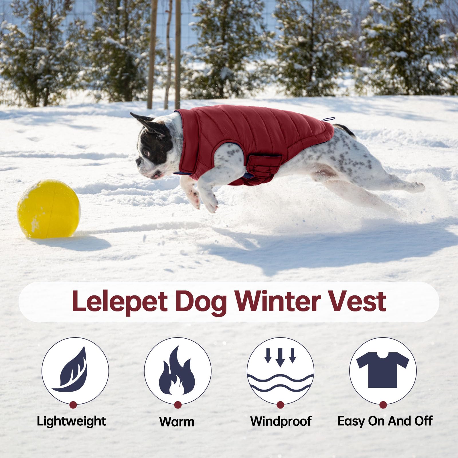 LeLePet adjustable magic sticker fastener demonstrates secure fit during walks