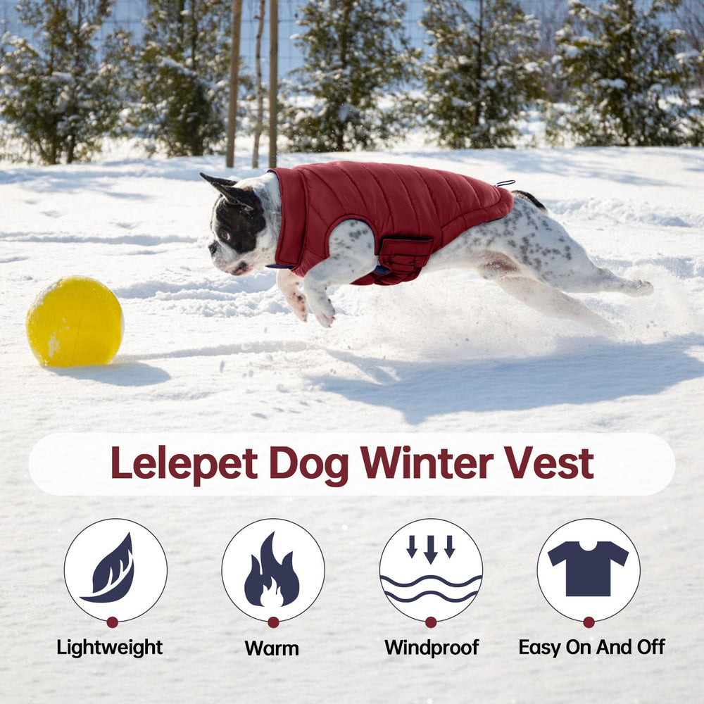 LeLePet adjustable magic sticker fastener demonstrates secure fit during walks