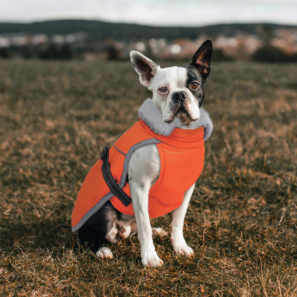 LeLePet available sizes XS-3XL ensure a snug fit.