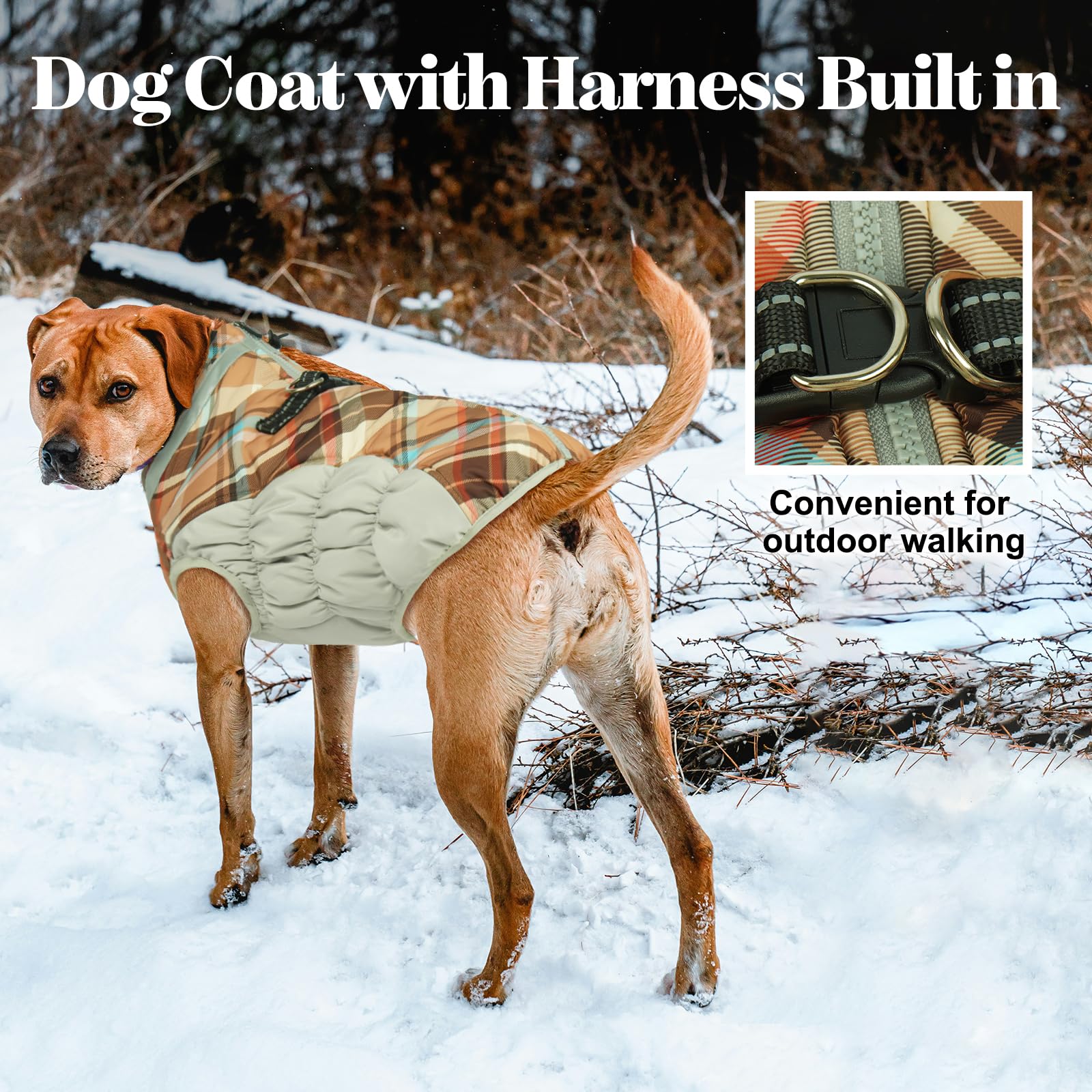 LeLePet back zipper coat reduces hair snagging for easy dressing.