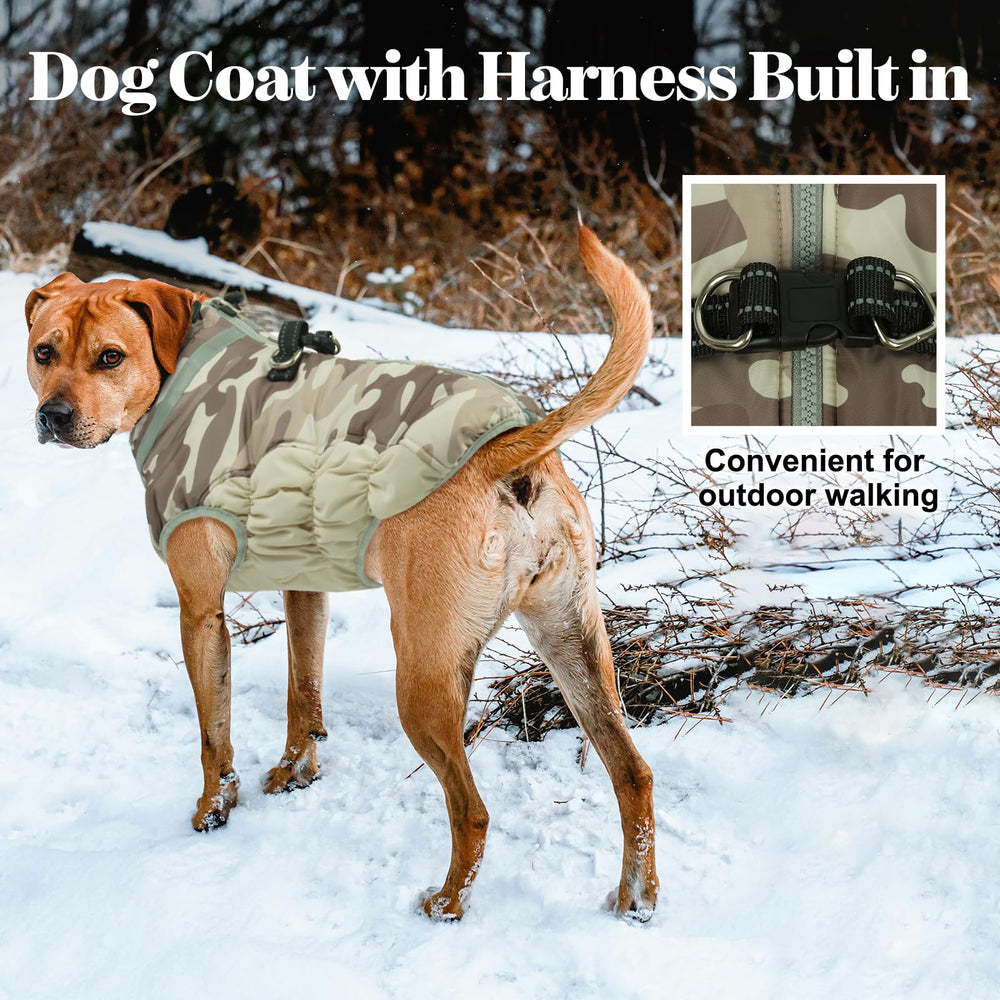 LelePet back-zipper dog coat designed to prevent hair snag and ease wearing.