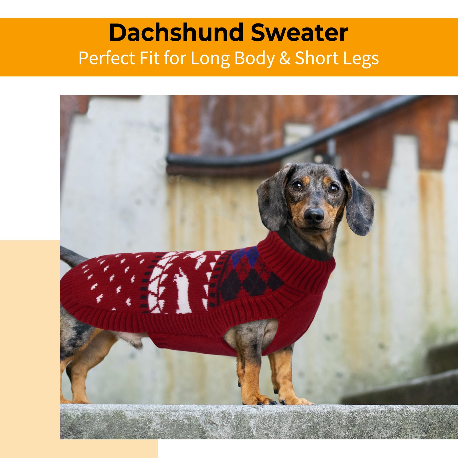 LeLePet Dachshund Sweater belly-coverage design for active dogs