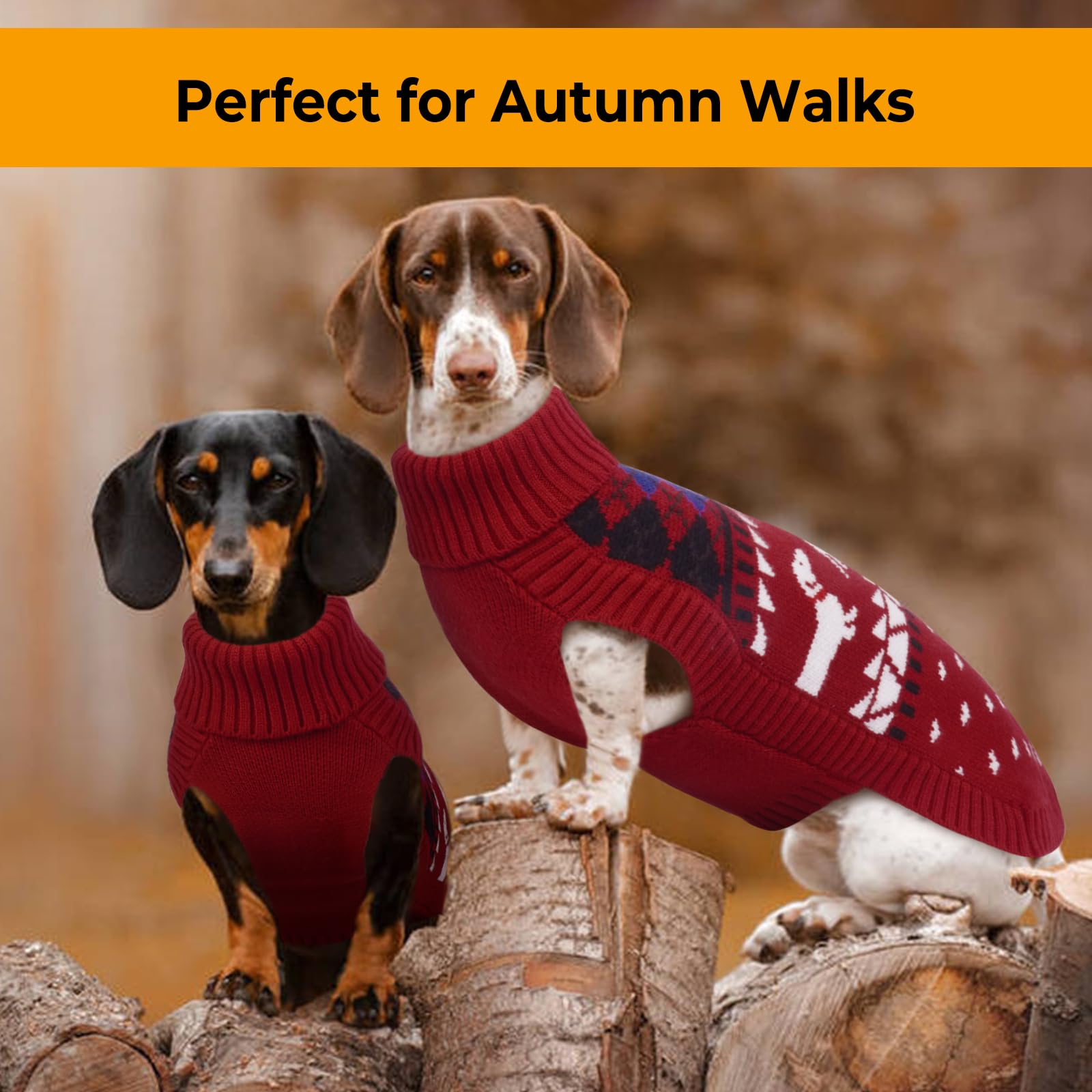 LeLePet Dachshund Sweater size-chart image—five sizes from XS to XL for a broad range.