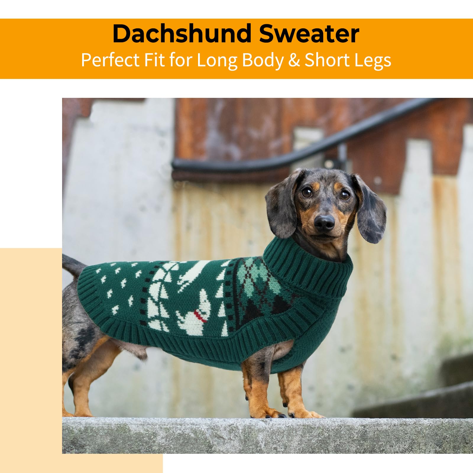 LeLePet dachshund sweater sleeveless design allows unrestricted running and play