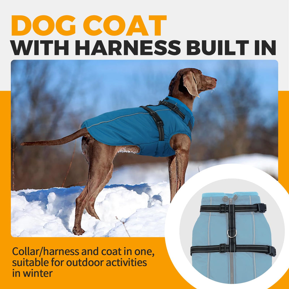 LeLePet coat back-zip design enables quick on-off and fuss-free dressing