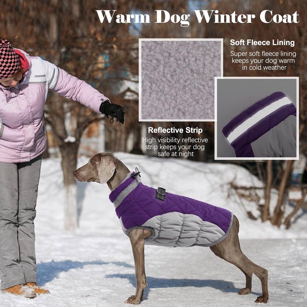 LeLePet back zipper coat reduces hair snagging during on/off.