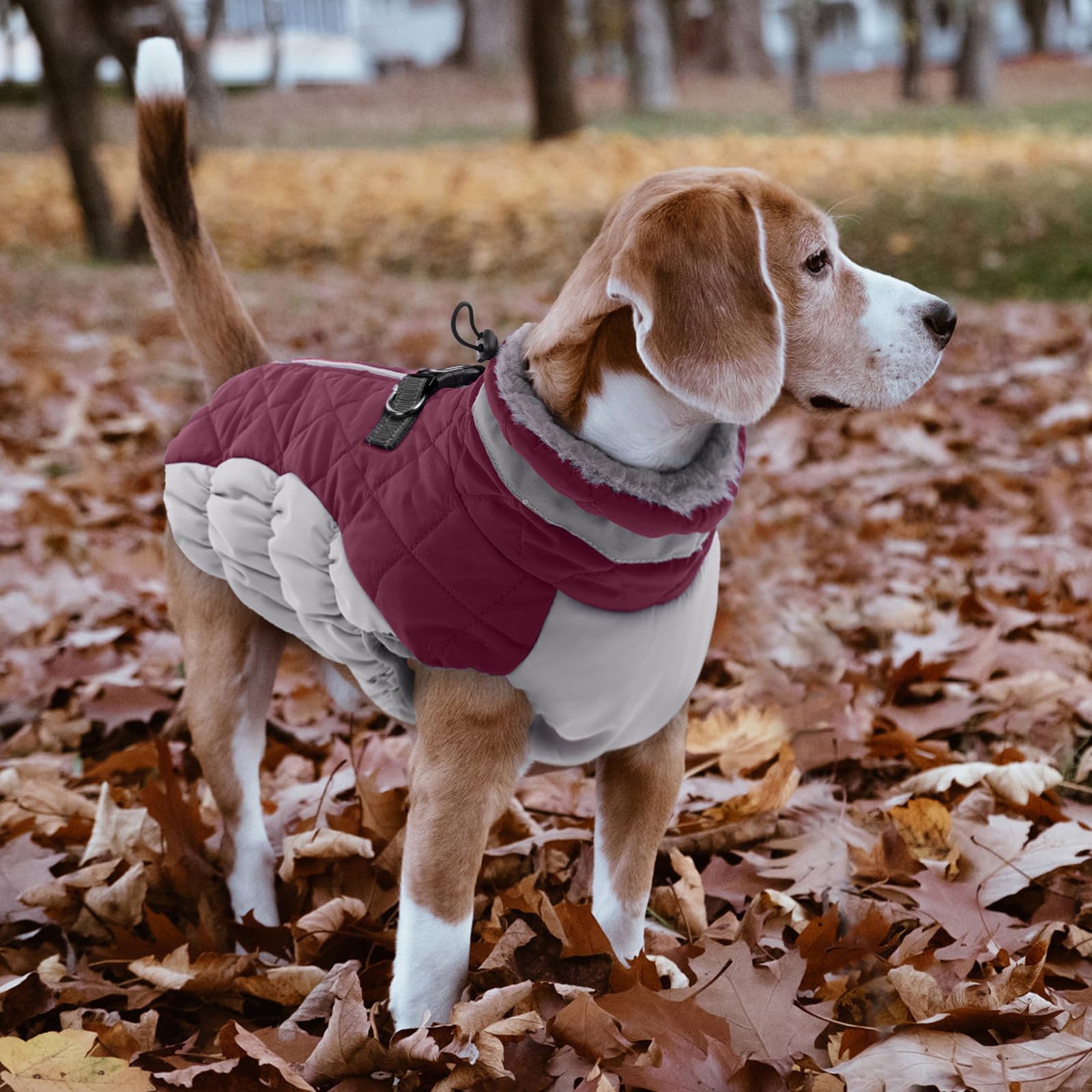 LelePet dog coat color collection xl demonstrates wide sizing and color options.