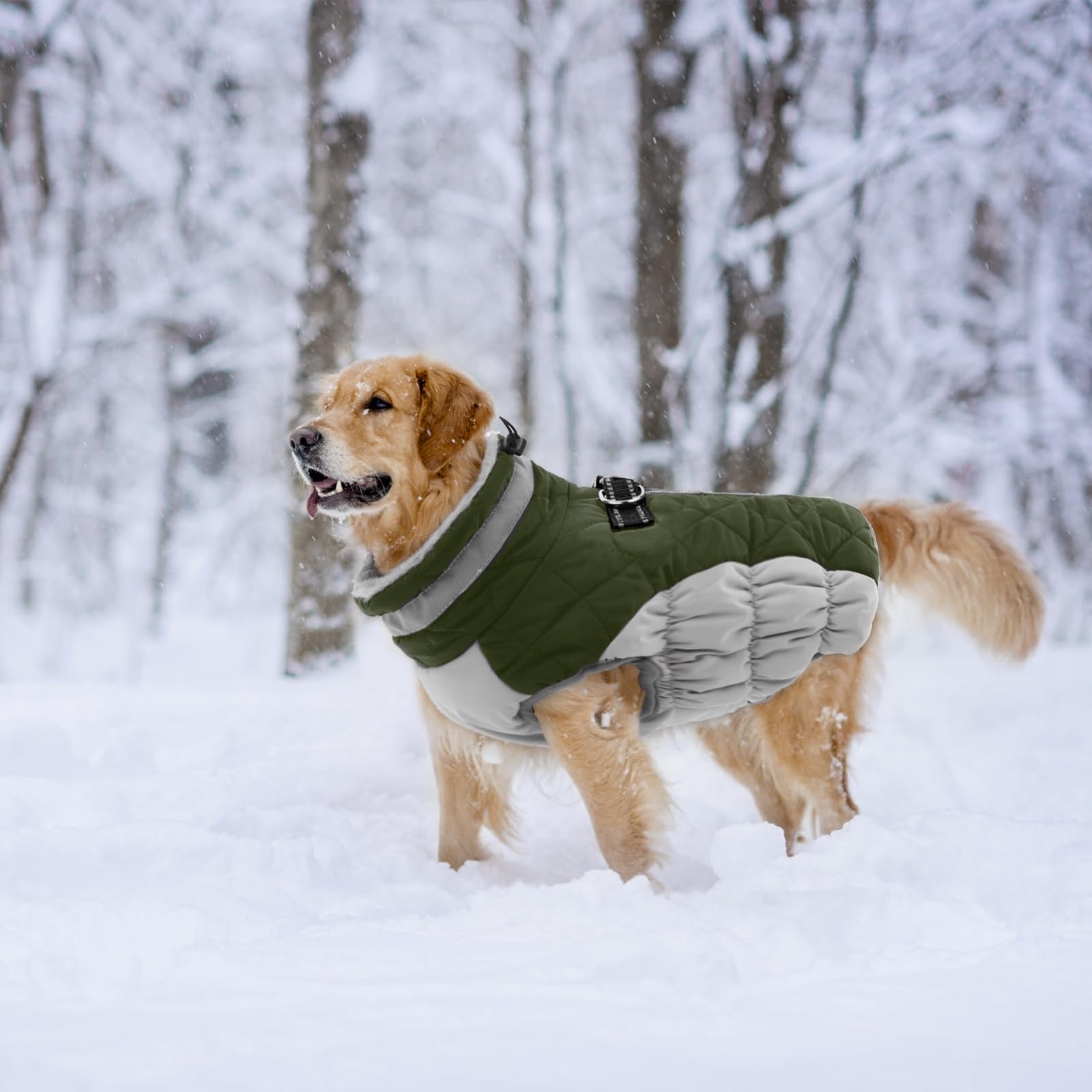 LeLePet elastic abdomen band ensures comfortable, non-restrictive wear.