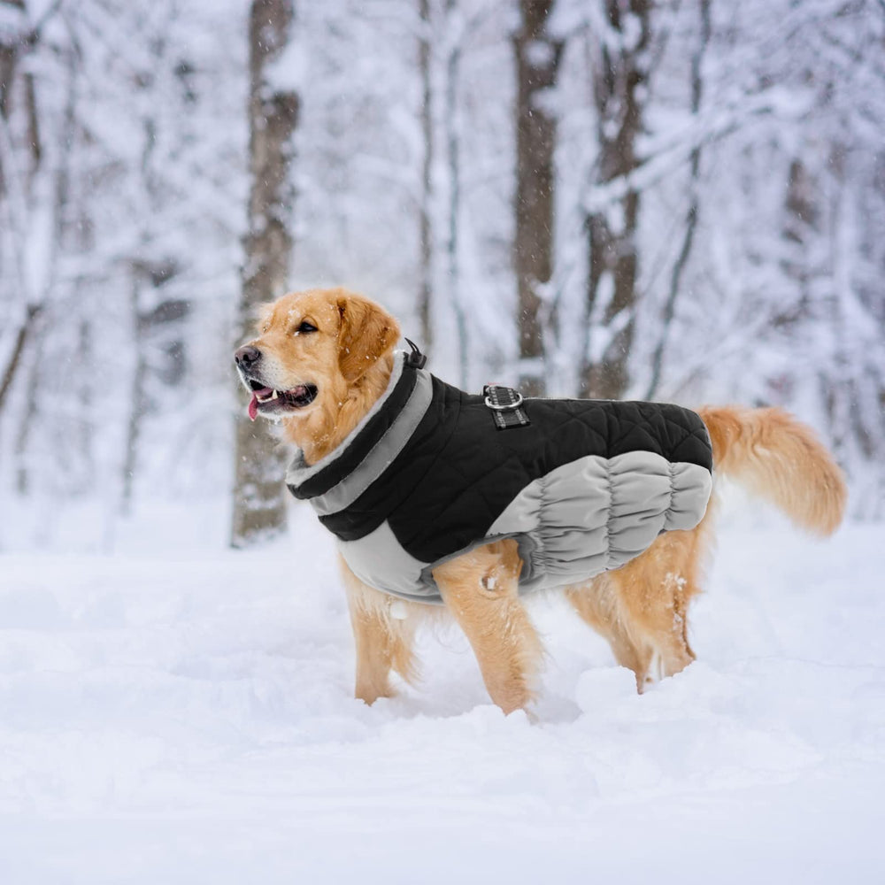 LeLePet elastic abdomen band provides secure, comfortable fit