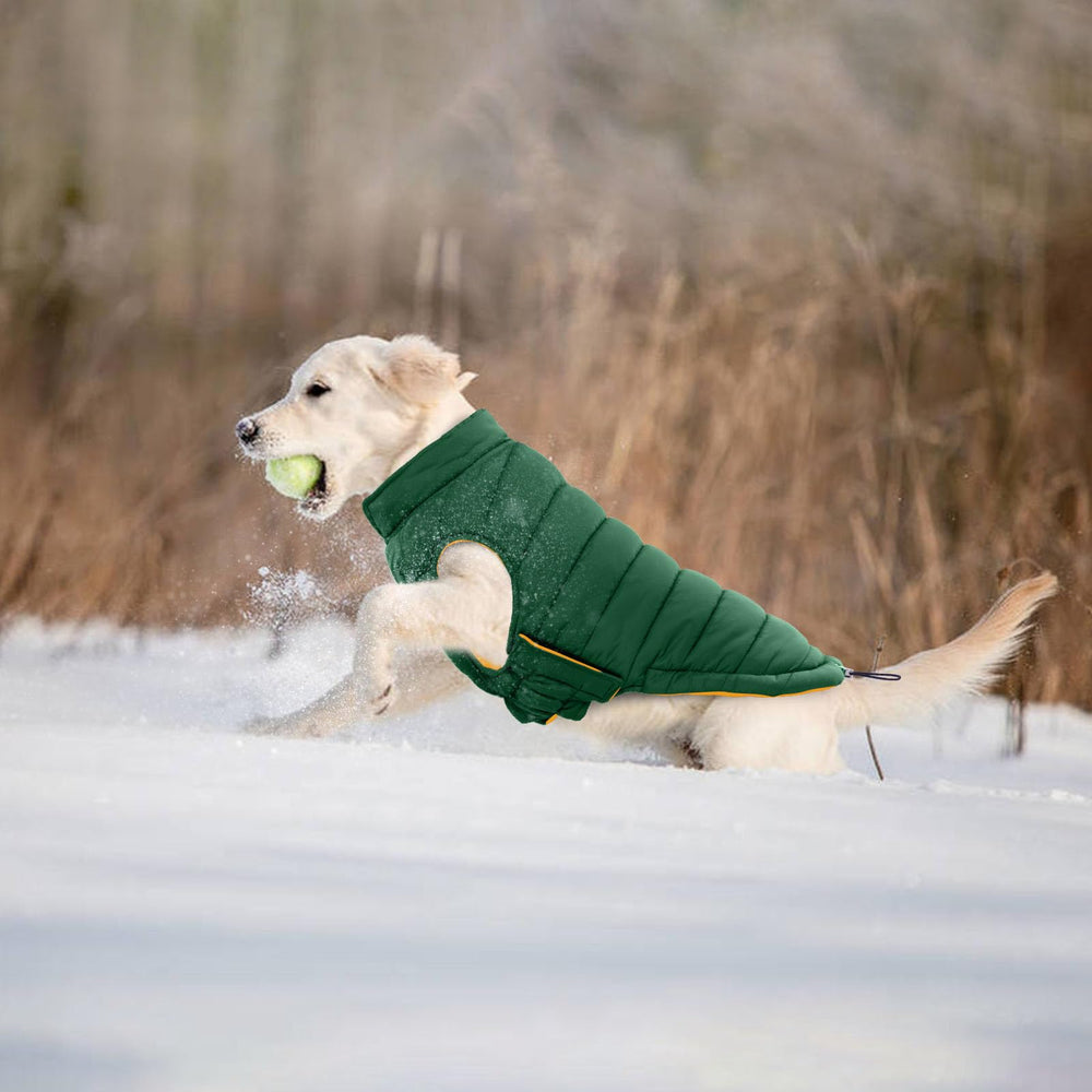 LeLePet green XL worn on a large dog for winter warmth