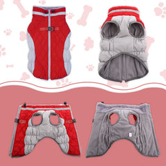 LeLePet coat features built-in harness compatibility with back D-rings.