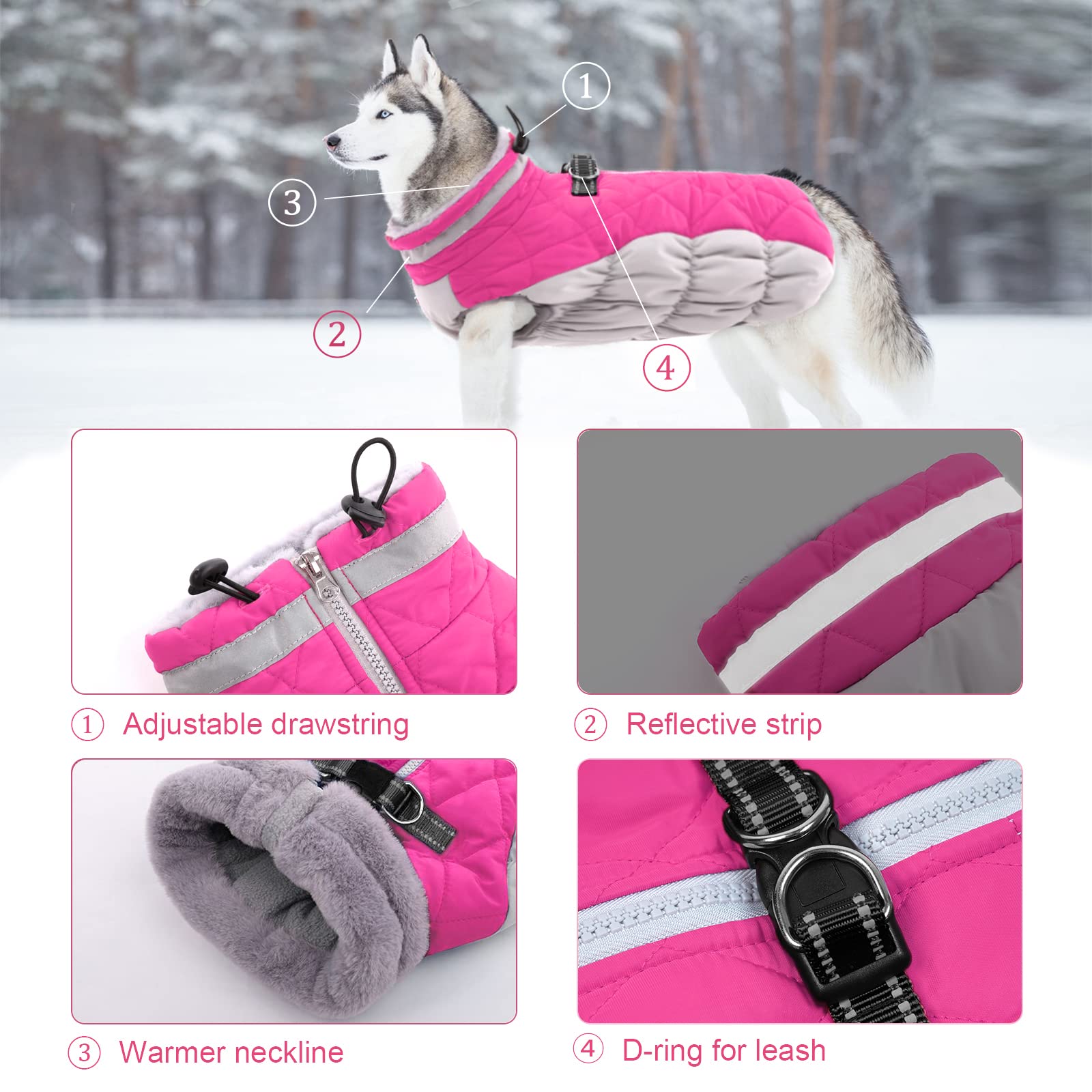 Lelepet dog coat with built-in harness highlights dual D-rings for leash and accessories.