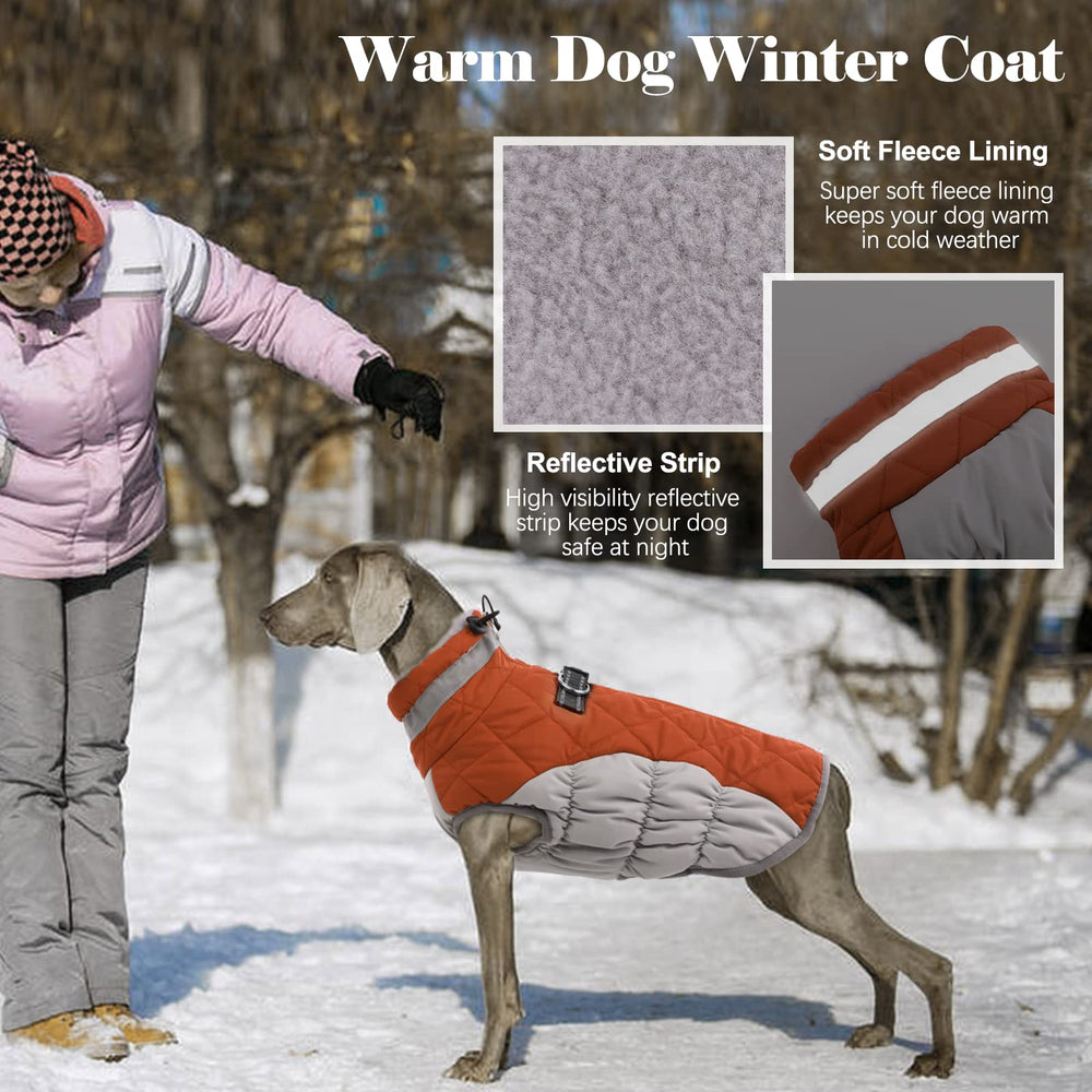 LeLePet coat with built-in harness simplifies daily walks