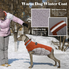 LeLePet coat with built-in harness simplifies daily walks