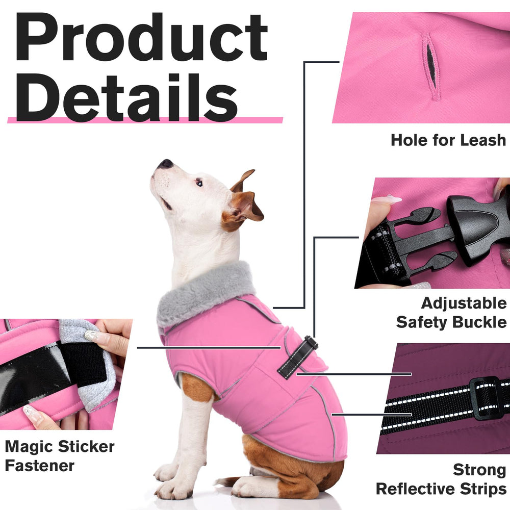 LeLePet coat back shows leash hole and secure buckle for convenient walks