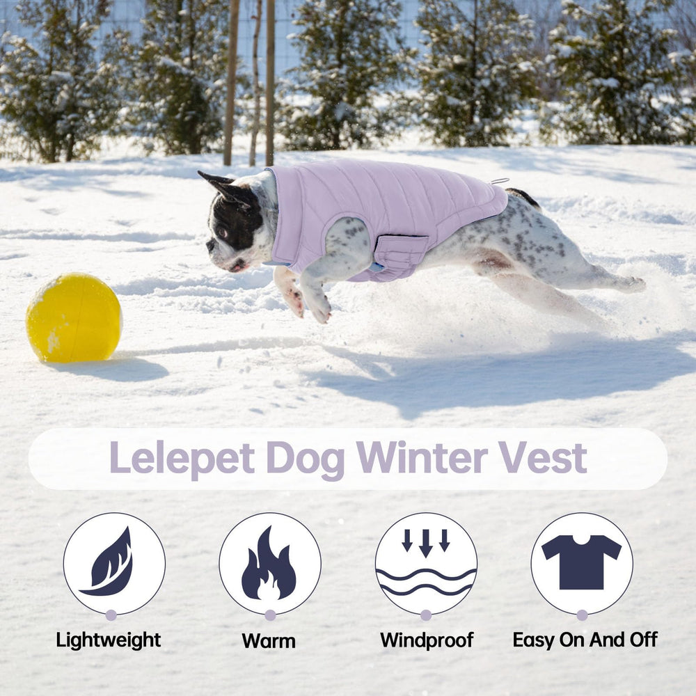 Lelepet dog coat leash hole purple XL worn-on-dog during harnessed strolls