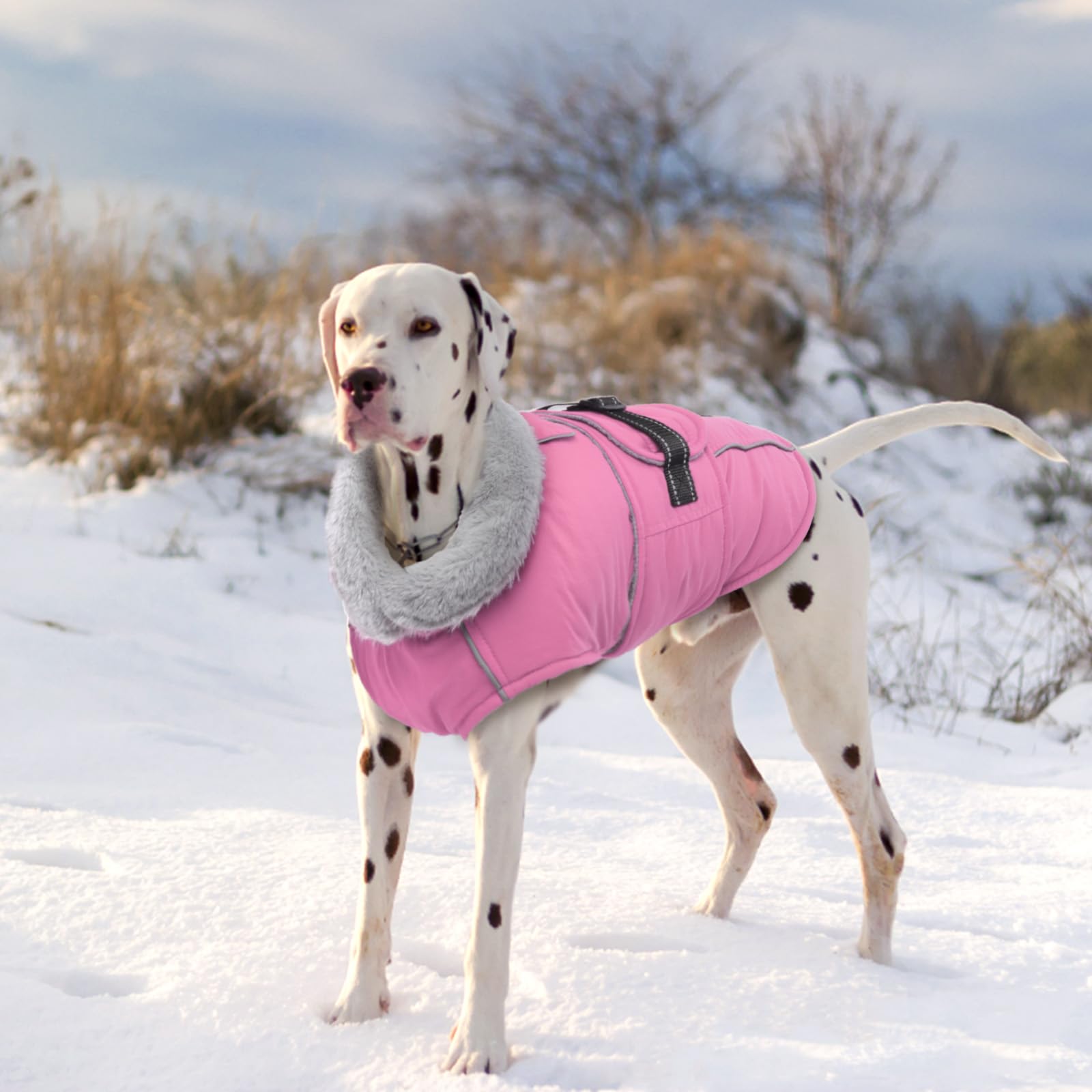 LeLePet machine washable dog coat for simple after-walk cleaning