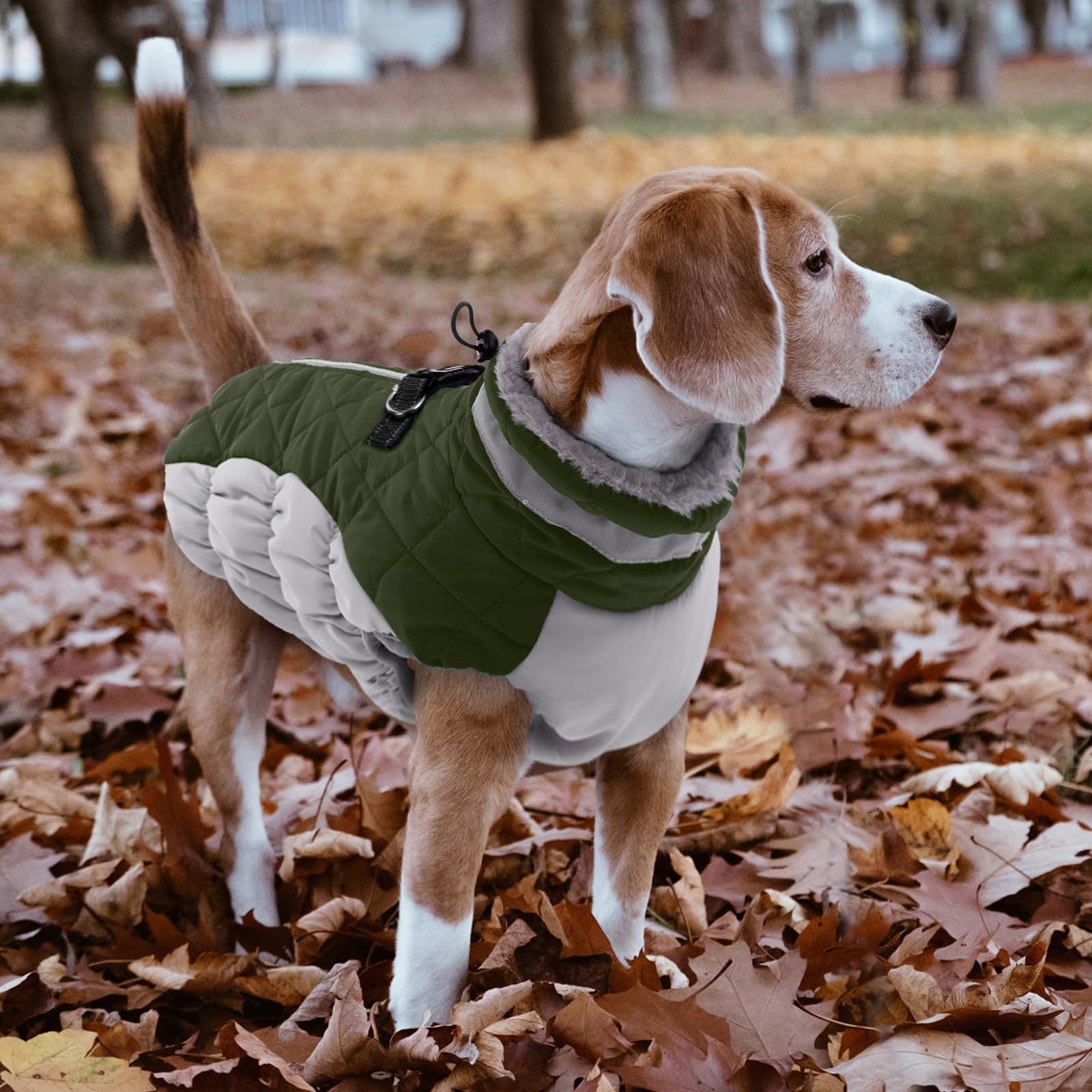 LeLePet machine-washable dog coat simplifies cleanup after adventures.