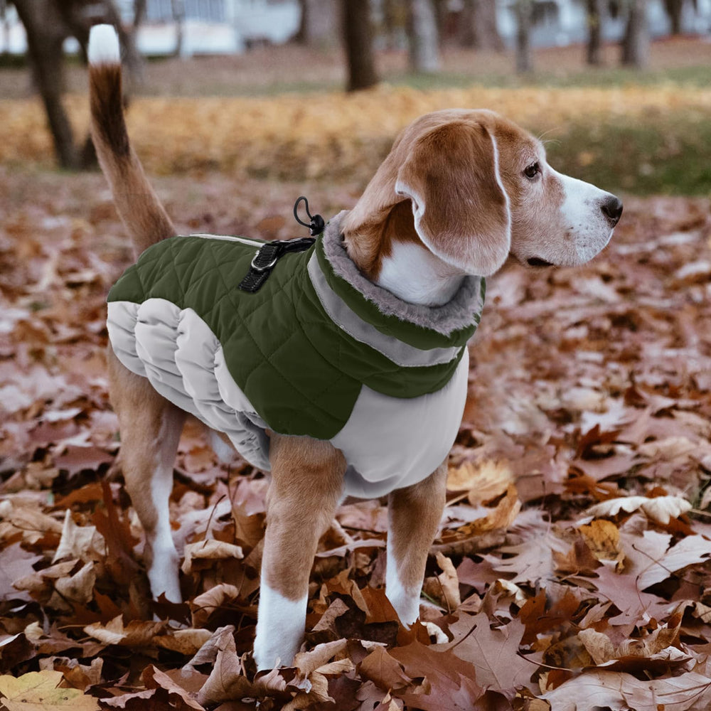 LeLePet machine-washable dog coat simplifies cleanup after adventures.