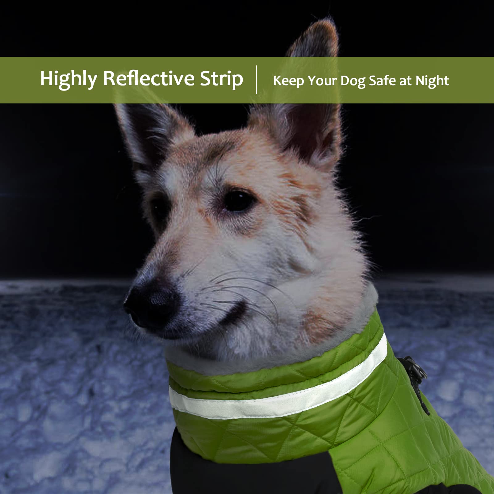 LeLePet reflective band on collar boosts night visibility during evening walks.