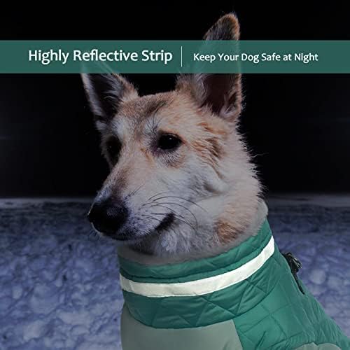 LeLePet dog coat reflective band boosts night visibility.