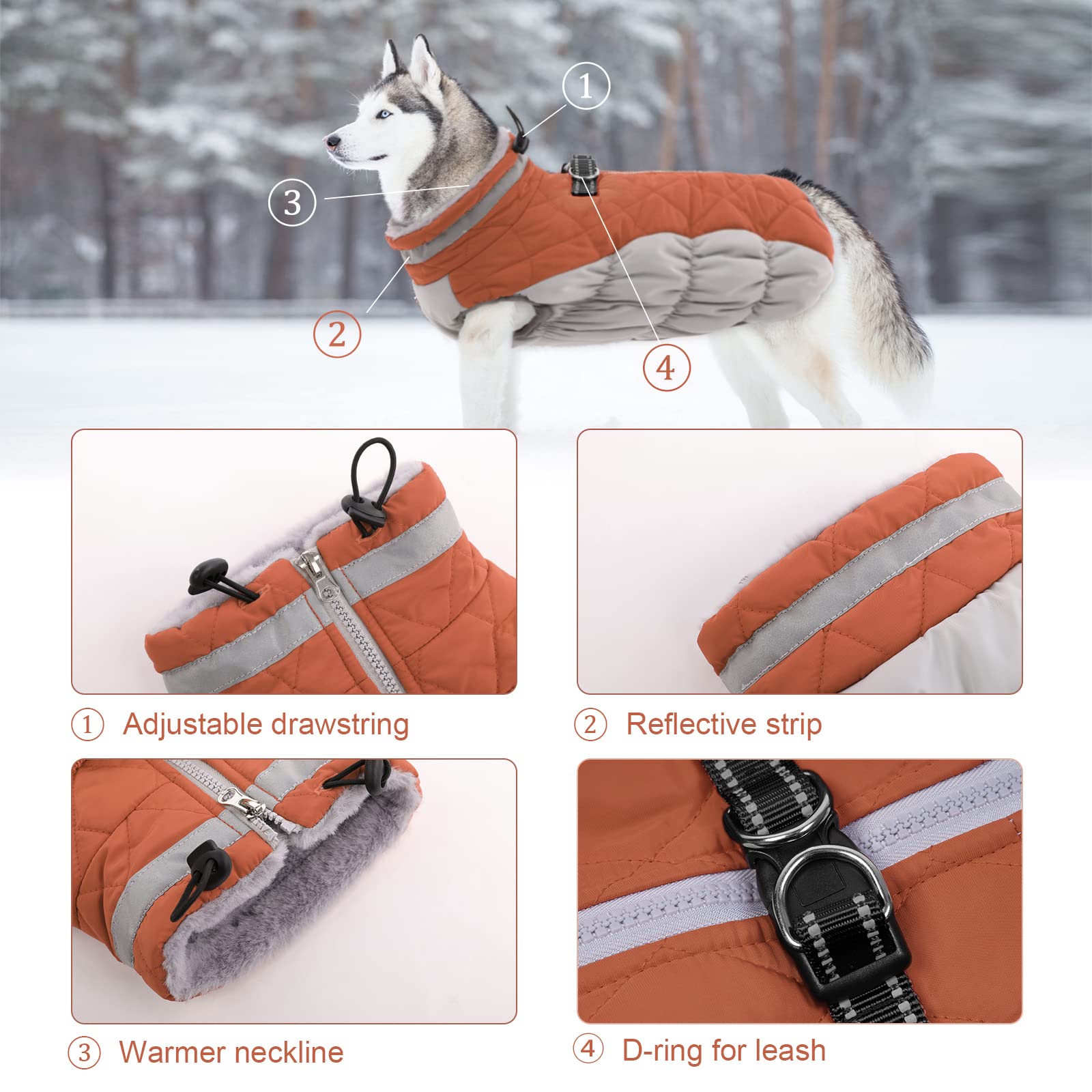 LeLePet coat features reflective strip for safer evening walks