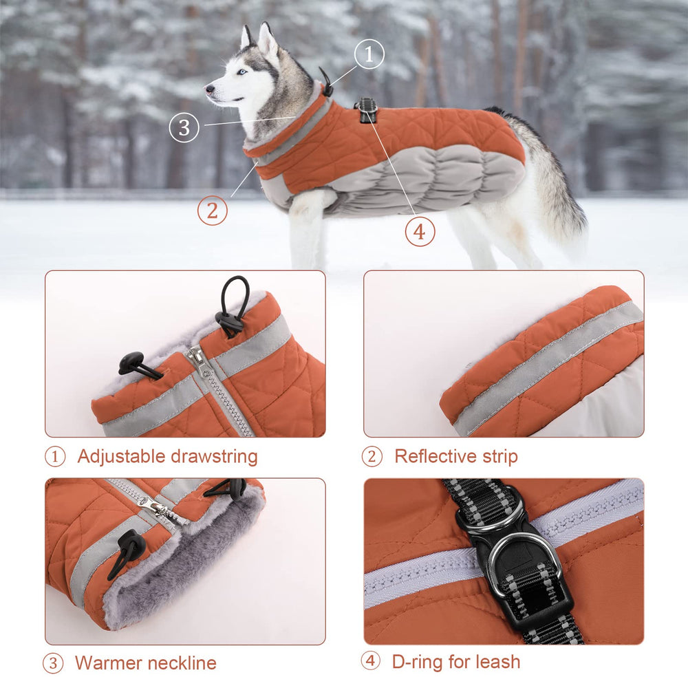 LeLePet coat features reflective strip for safer evening walks