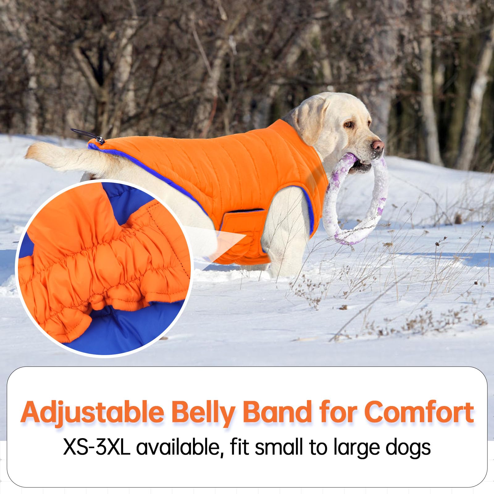LeLePet dog coat with magic sticker fastener ensuring secure fit during play