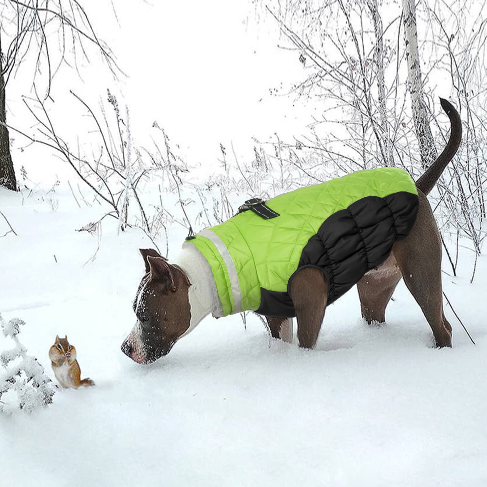 LeLePet sizing chart image confirms XS to 3XL fit for large dogs.