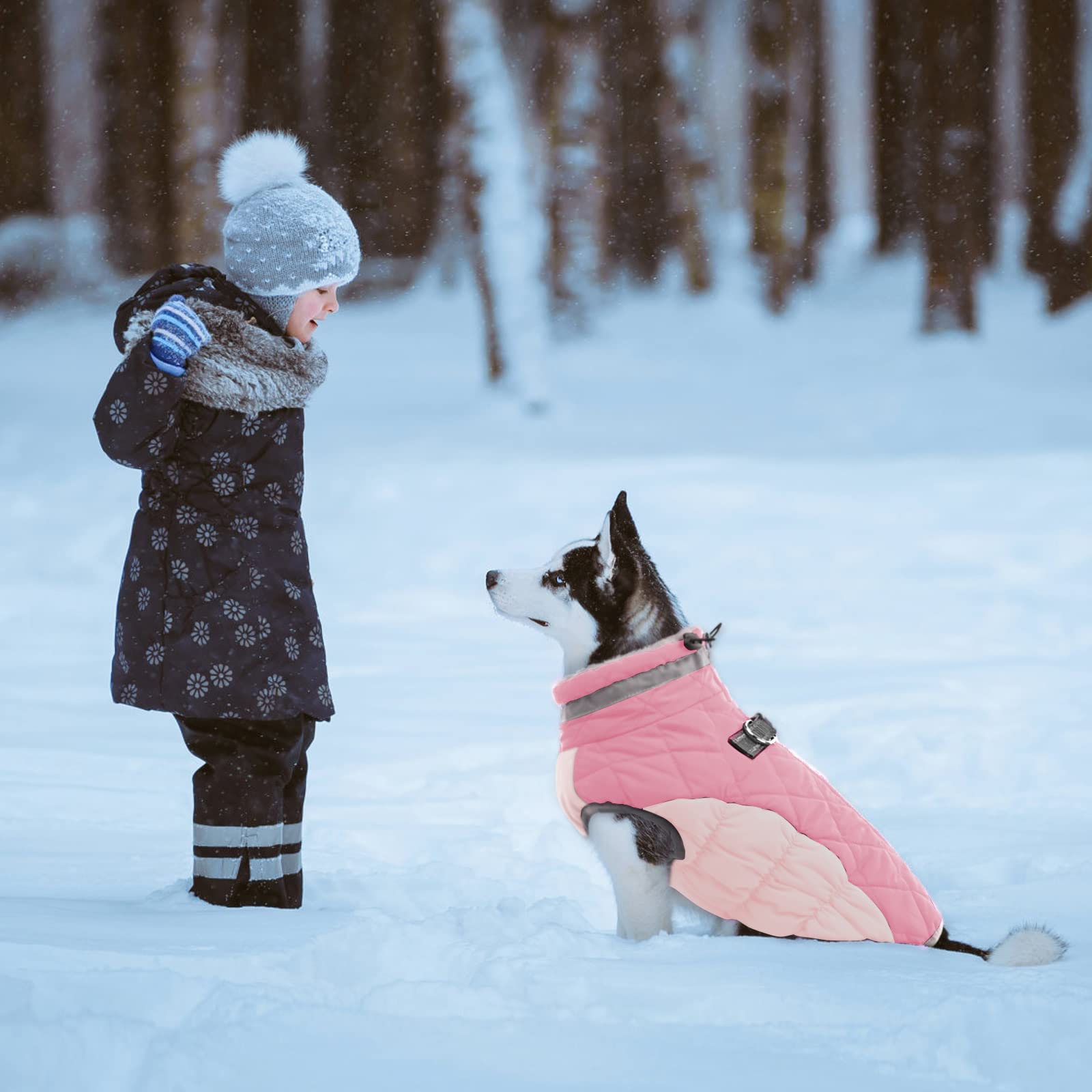 LeLePet dog coat size range showing versatile fit for many breeds.
