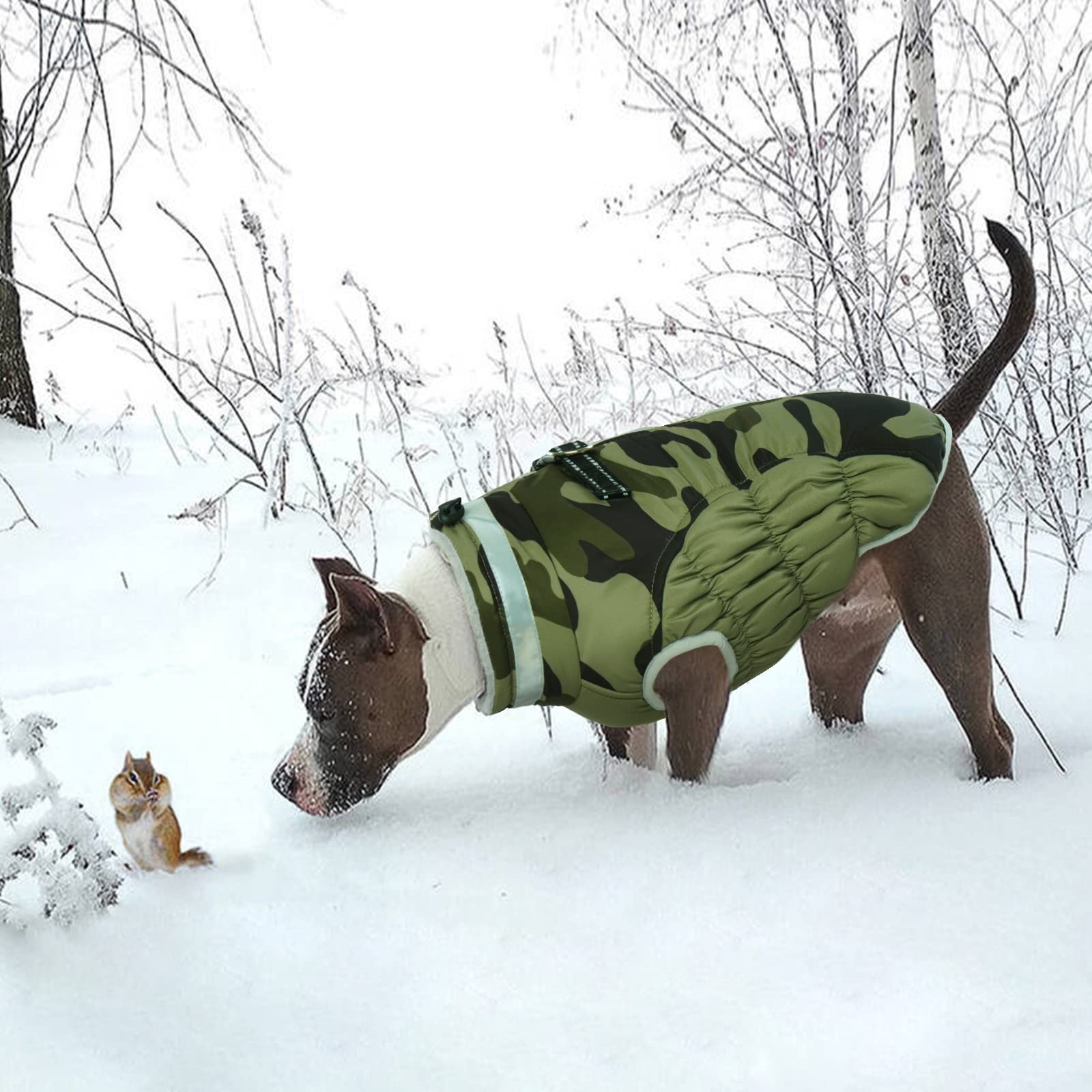 LeLePet coat size range ensures fit for medium dogs from XS to 3XL.