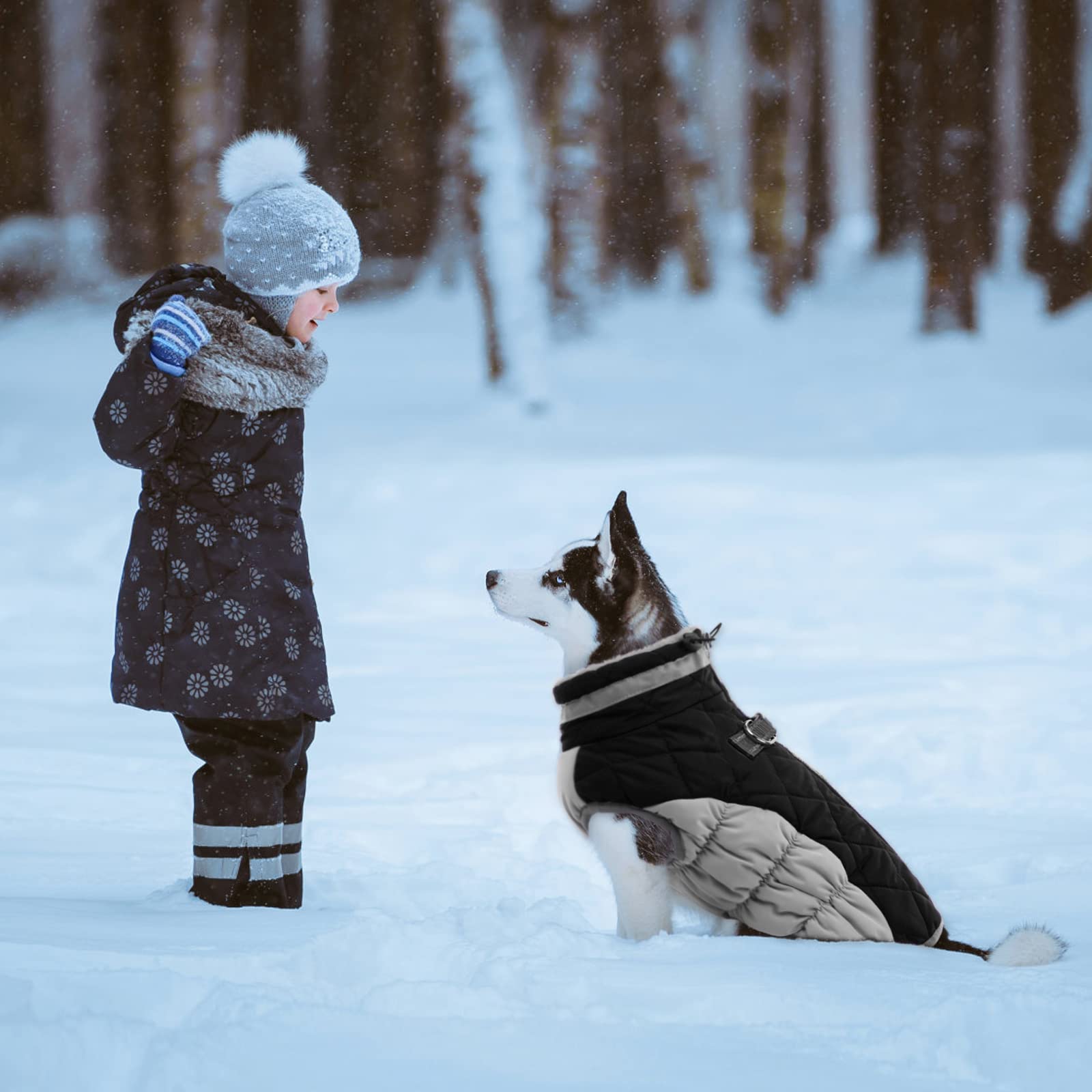 Lelepet dog coat thirteen colors seven sizes offers versatile options