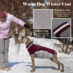 LelePet dog coat turtleneck collar provides neck warmth and wind protection.
