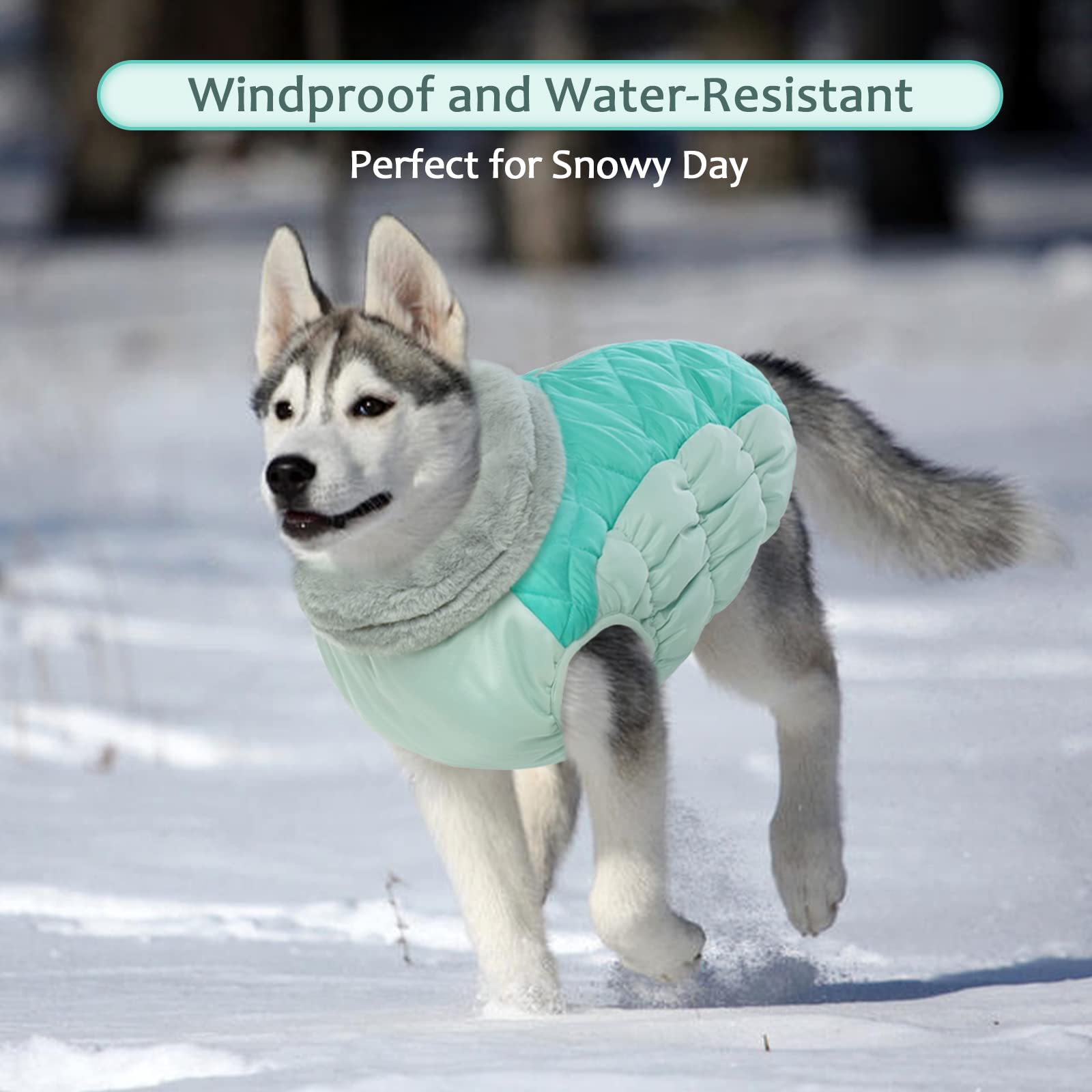 LeLePet turtleneck-warmth vest adds snug neck warmth in chilly trips
