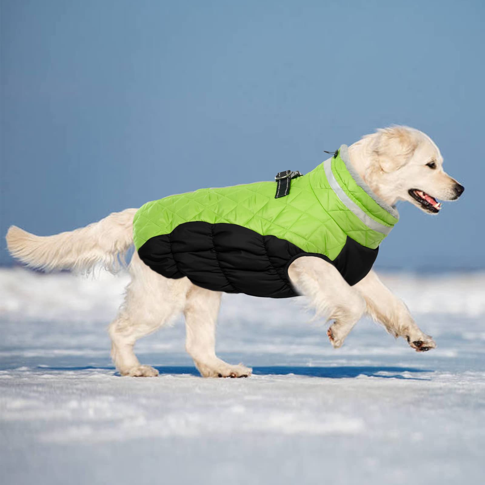 LeLePet warm fleece interior keeps dogs cozy during snow play and chilly walks.