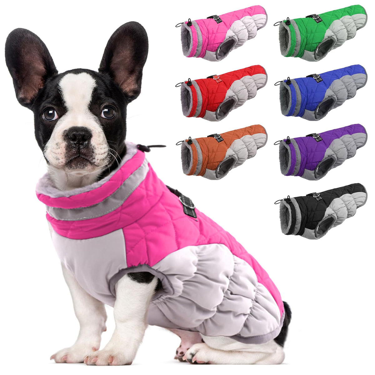LeLePet dog coat warm and waterproof back view keeps small dogs comfortable outdoors.