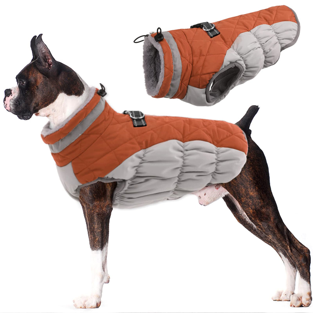 Lelepet dog coat shows warm, waterproof shell with built-in harness for outdoor outings