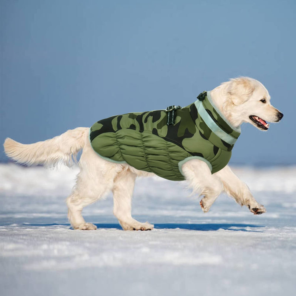 LeLePet dog coat winter comfort helps dogs stay cozy during snowy play.