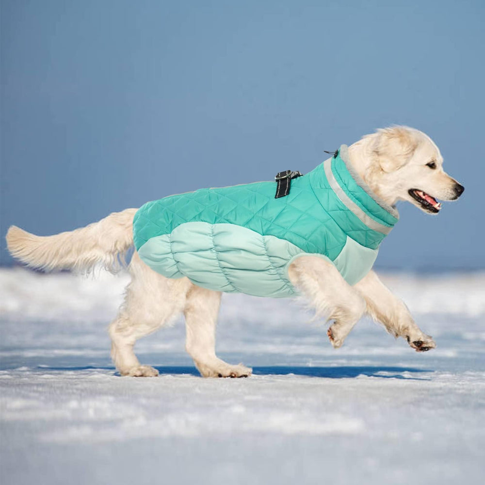 LeLePet dog coat designed for winter outdoor play in snow.