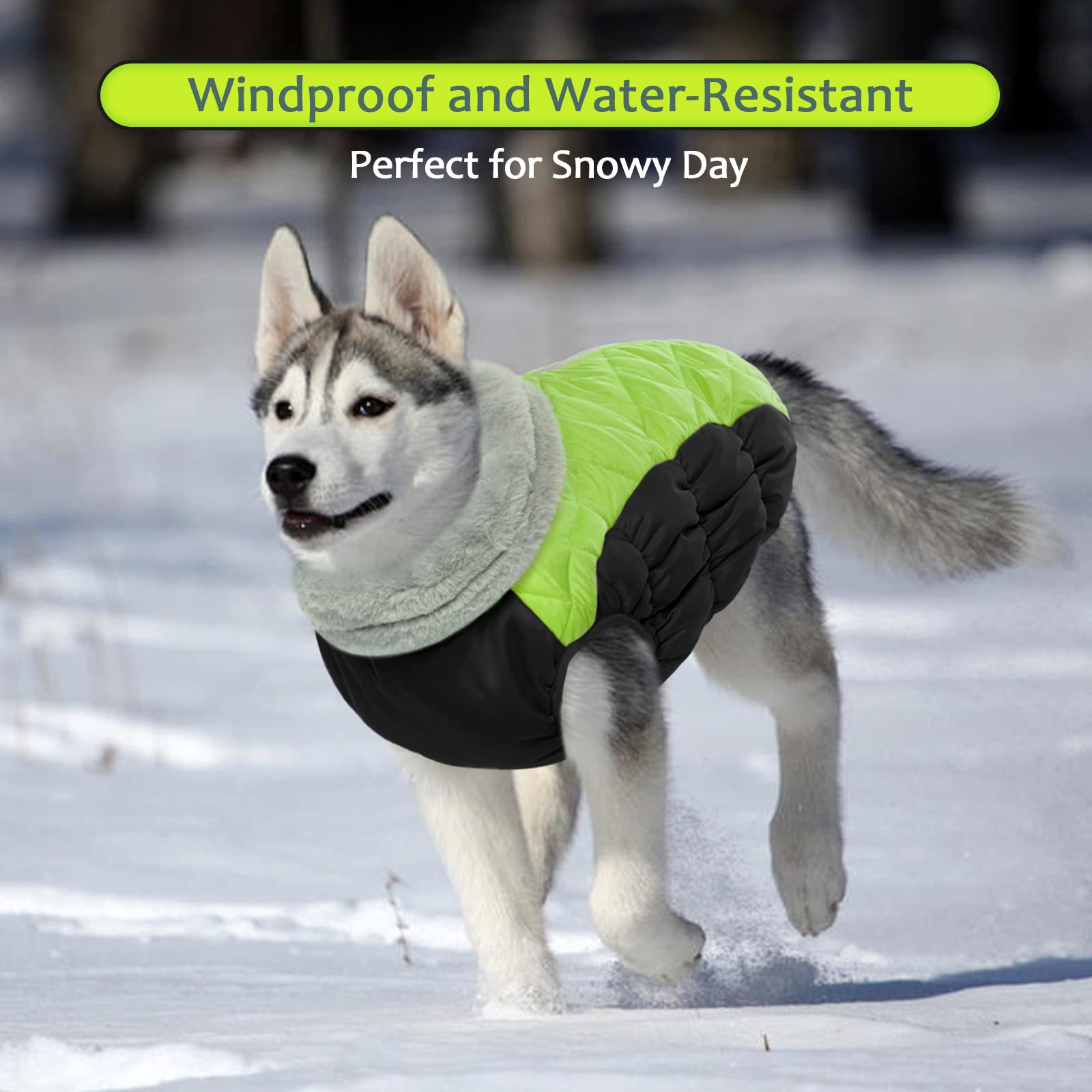 LeLePet zip-up fleece vest close-up shows simple on-off and harness integration.