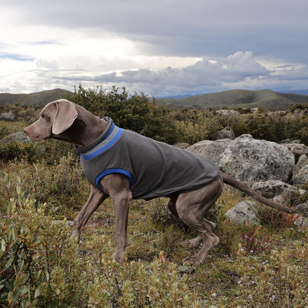LeLePet easy-on back-zip design helps anxious dogs feel secure.