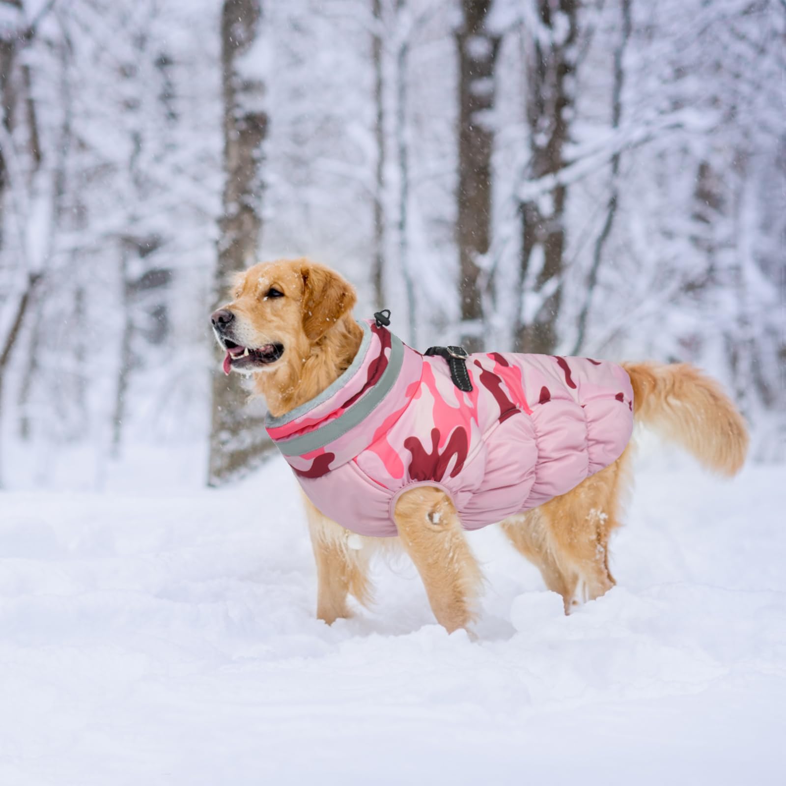 LeLePet color options and sizes showcase 19 colors for many breeds.